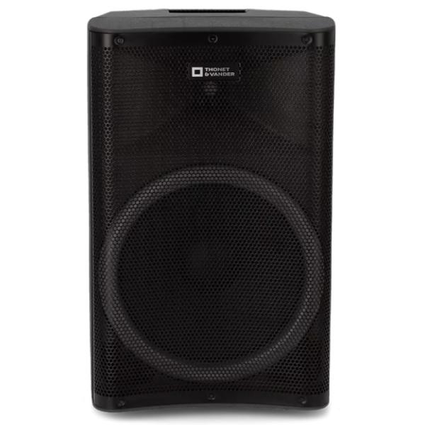 PARLANTE THONET & VANDER STARKG2 250W BLUETOOTH / RCA CON MICROFONO INALÁMBRICO HK096-03646